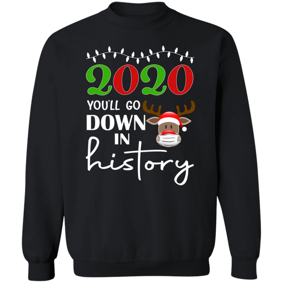 2020 History Sweatshirt